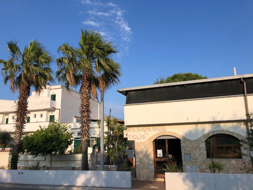 Tiglio Vieste — photo 1