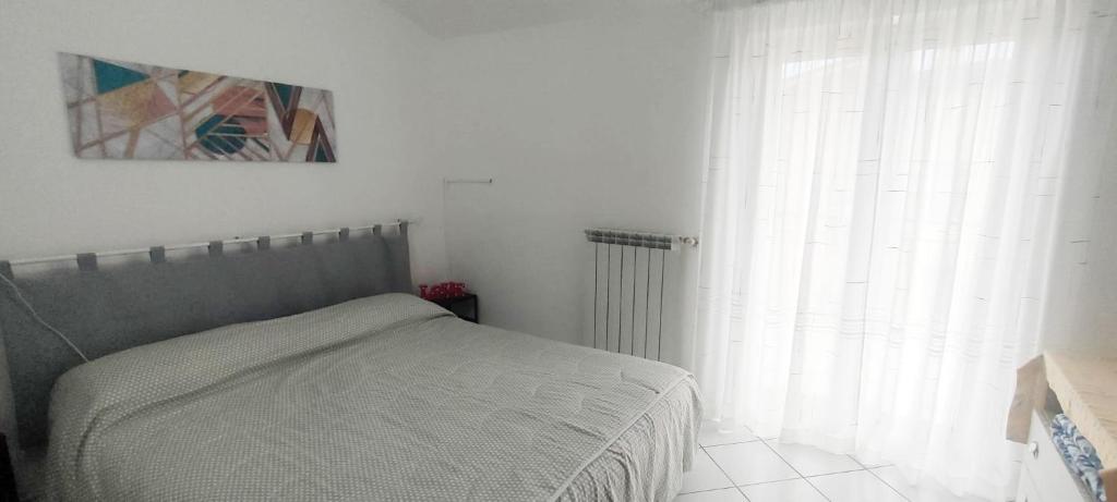 Tommaso Domus photo 2
