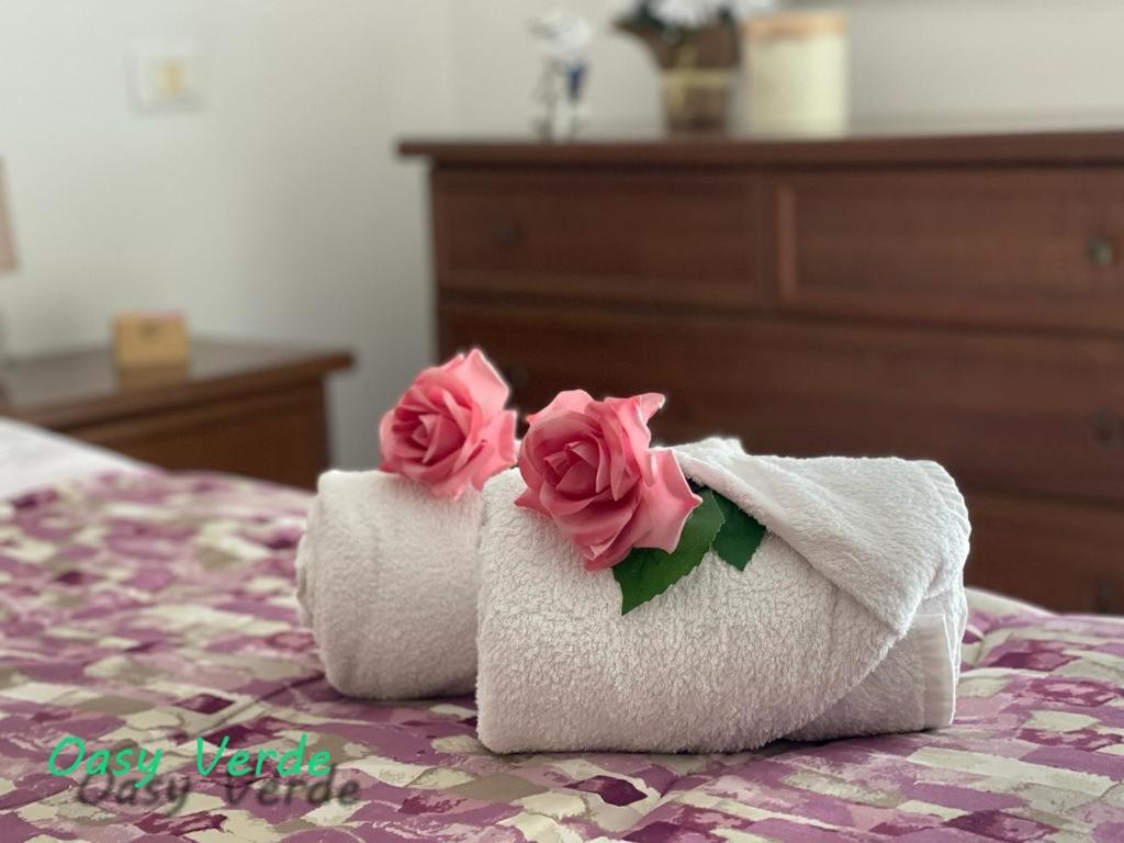 Oasi Verde appartamento — photo 1