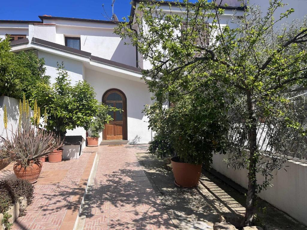 Sa Mariposa Holiday Home — photo 1