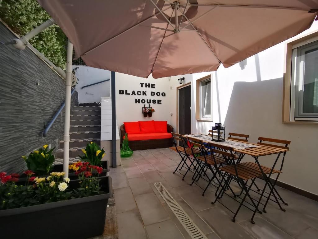 The black dog house — photo 1