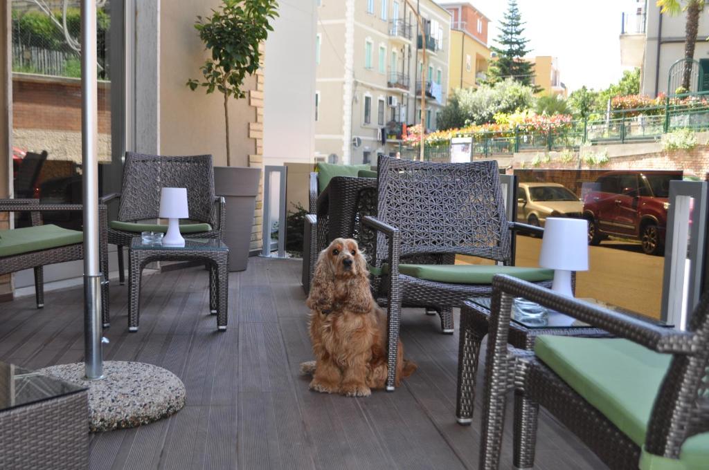 Hotel San Marco photo 3