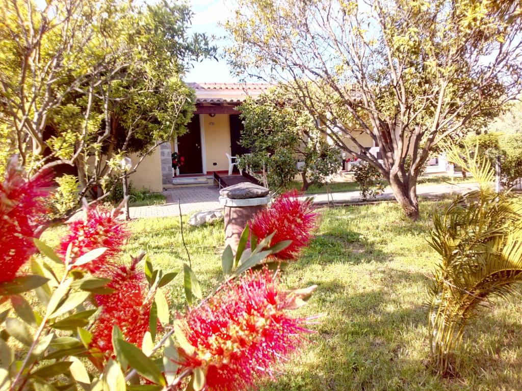 Su Pasu — photo 1
