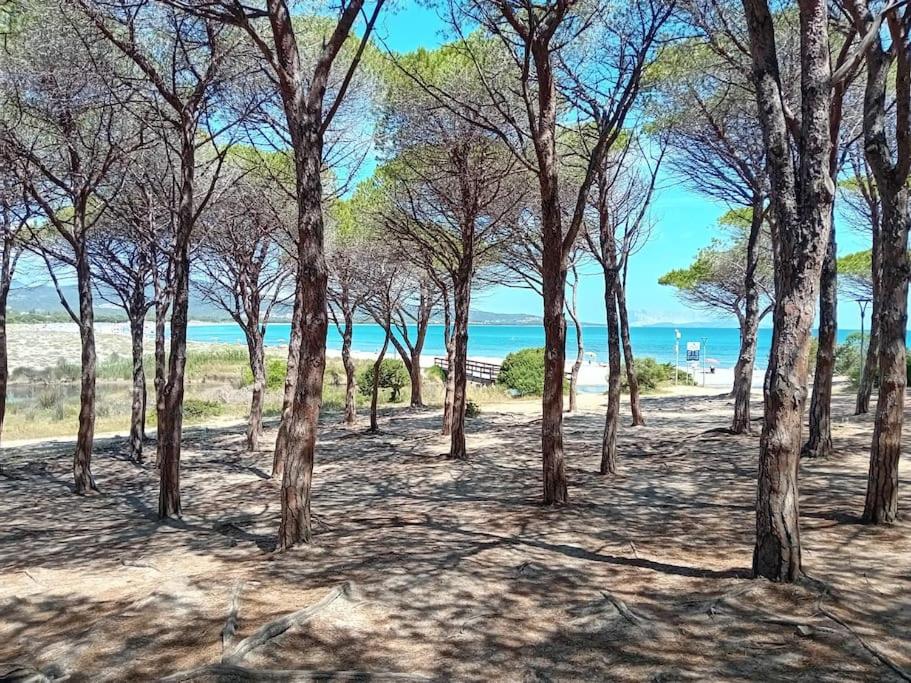Suite Sardinia -Appartamento indipendente a Tanaunella — photo 1