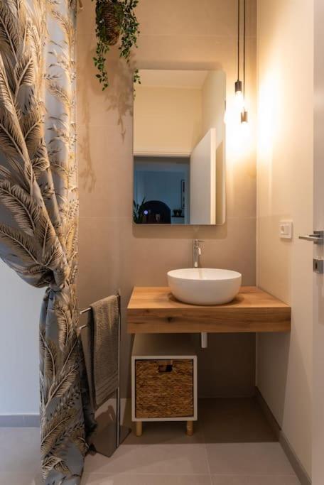 Torino centro - suite con cucina photo 3