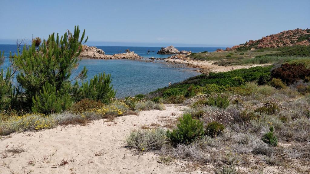 Gli Oleandri di Calarossa - 5m walk to the beach — photo 1