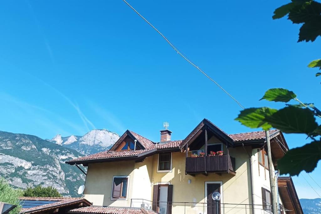 Trento Green — photo 1