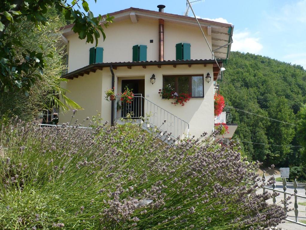 Solo Per Quattro — photo 1