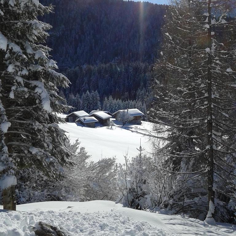 Rifugio Caltena photo 2