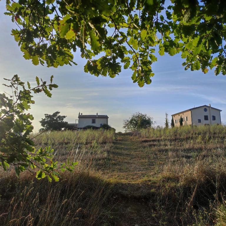 Agriturismo Tenuta La Castelluzza photo 3