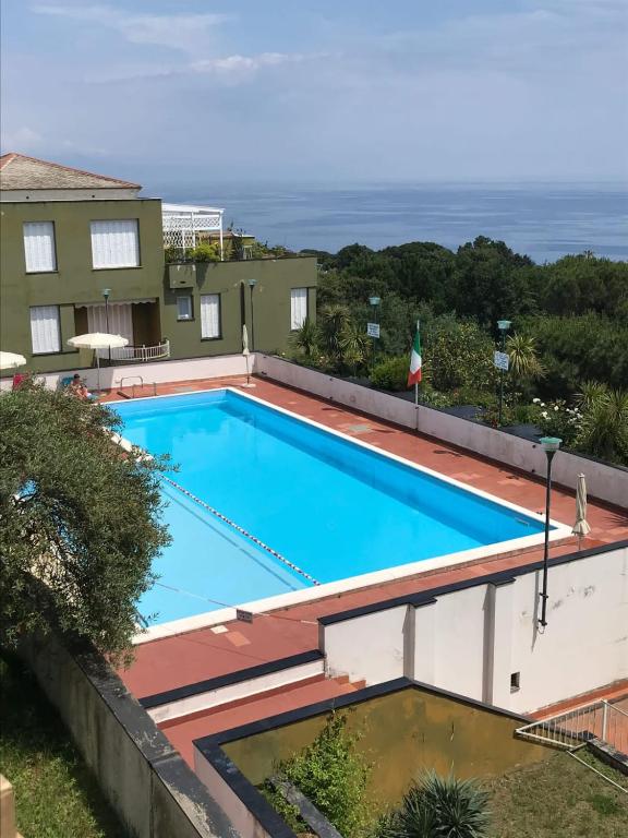 TerrazzaSoleMare Mimosa photo 3