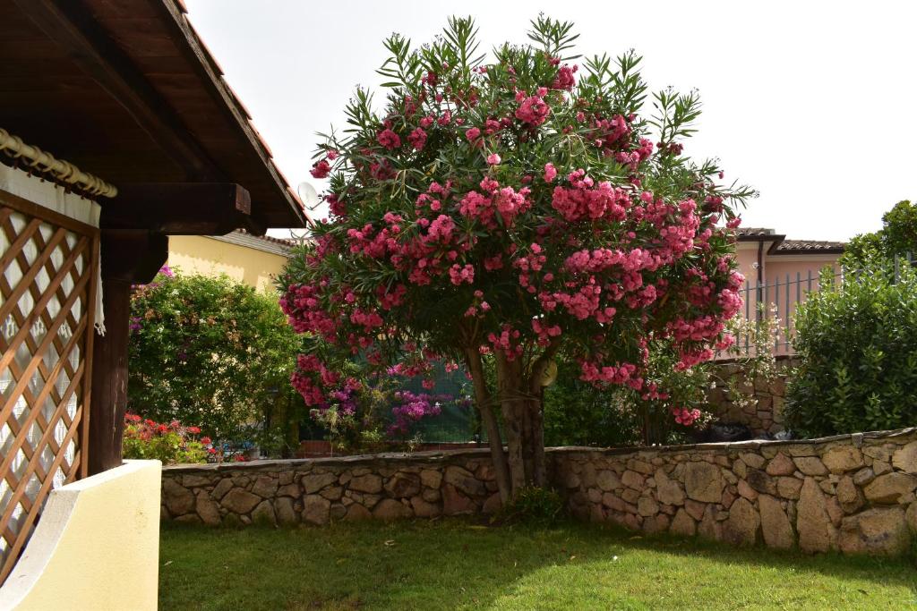 Splendida Villetta Tavolara 1 photo 3