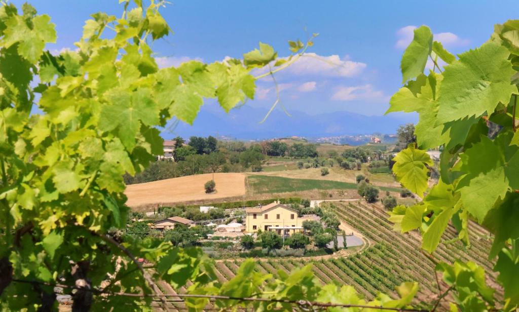 Terra di Ea — photo 1