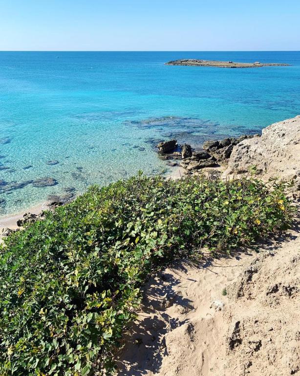 Salento Cecilia - solo settimane intere da sabato a sabato photo 2