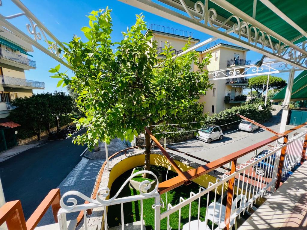 Treehouse Sorrento Apartment photo 3