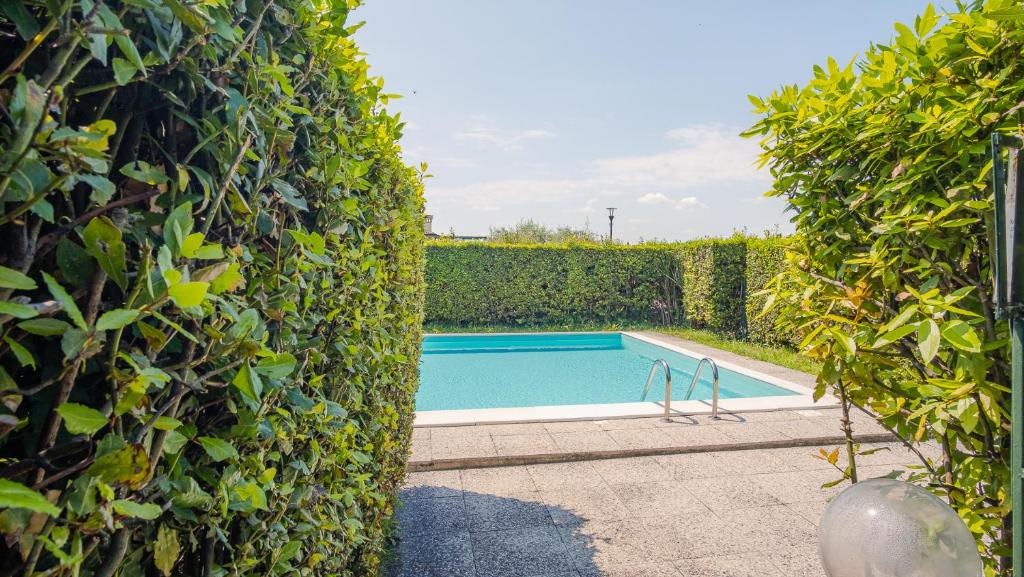 The House in the Vineyard - Italian Homing — photo 1