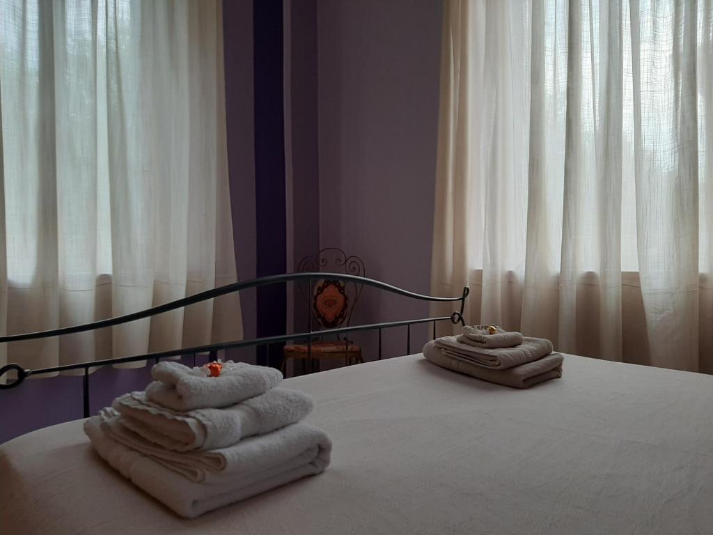 Torino in Colore — photo 1