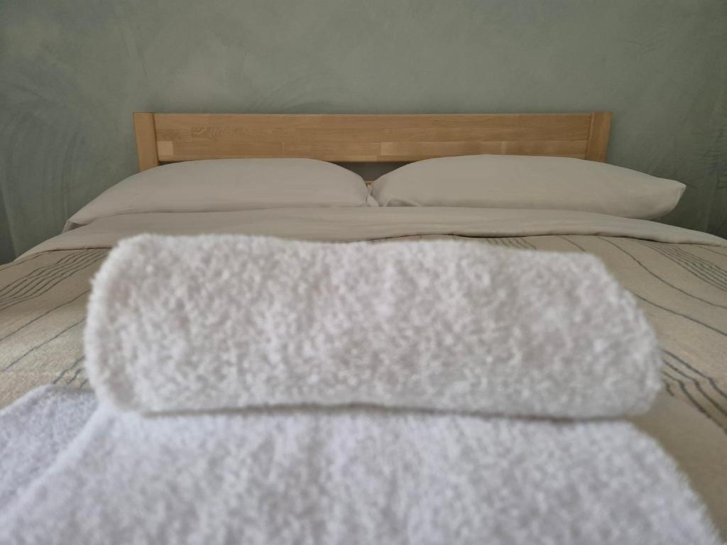 Wiki Hostel Colive photo 2