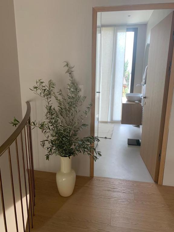 Villa Tschaupp photo 3