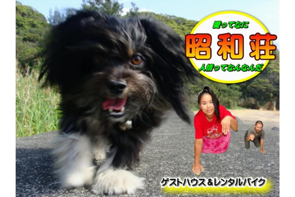 Amami Guest House showa-so — photo 1