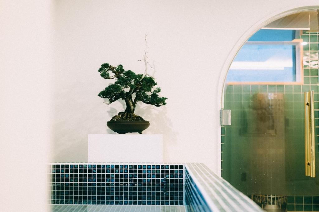 THE ROOT2 HOTEL photo 2