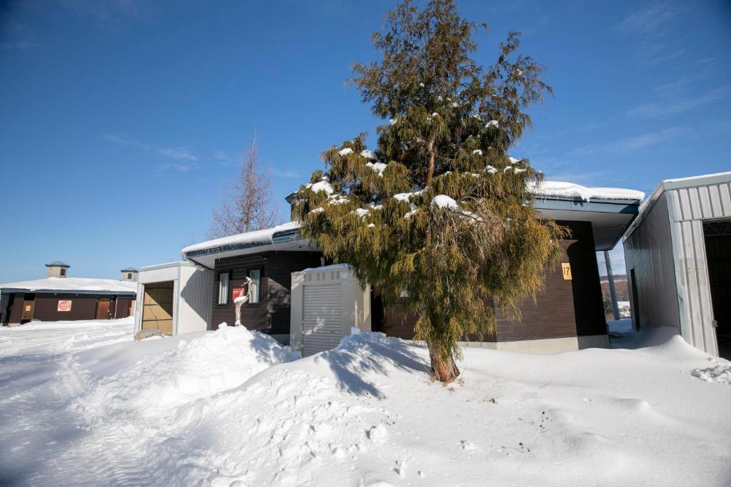Starry Sky Cottage 17 photo 2