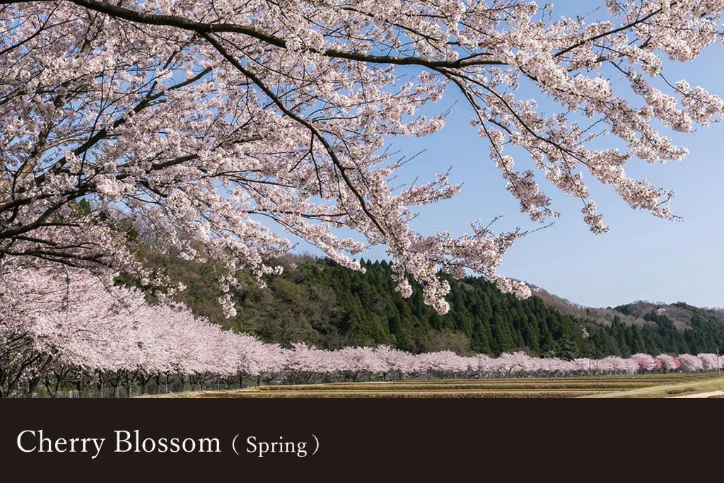 Yamanaka Onsen Kagari Kisshotei photo 3