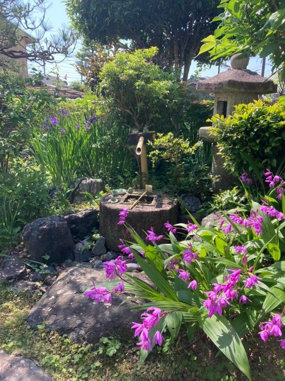 Sakura house photo 3