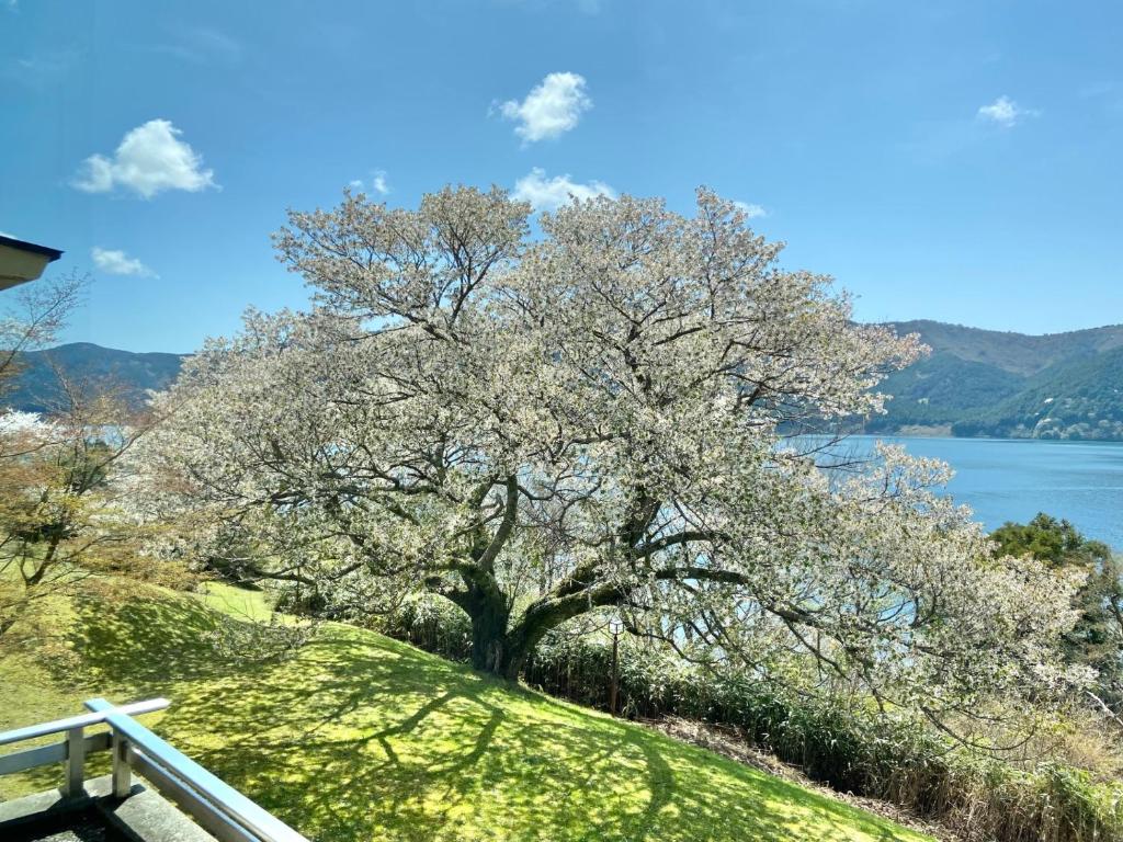 Ryuguden photo 2