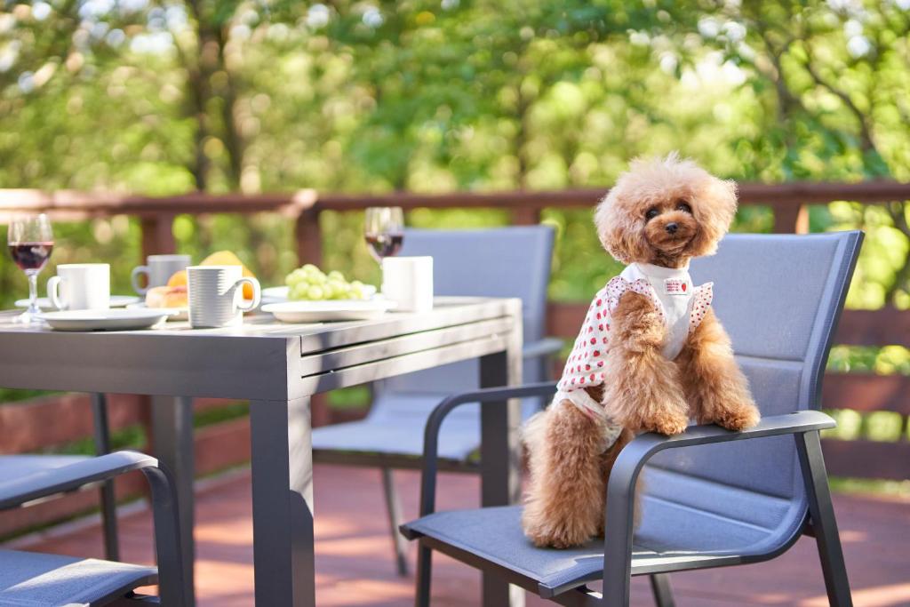Suite Villa Nasukogen Doggy's Ohana — photo 1
