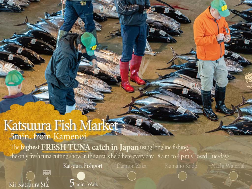 KAMENOI HOTEL Nachi Katsuura Kumano Kodo photo 3