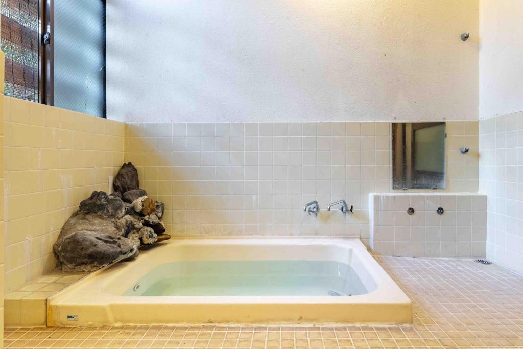 Yamane photo 3