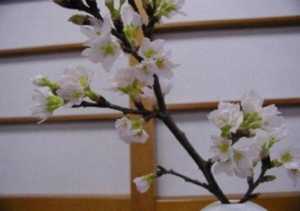 Wakaba Ryokan / Vacation STAY 29370 photo 2