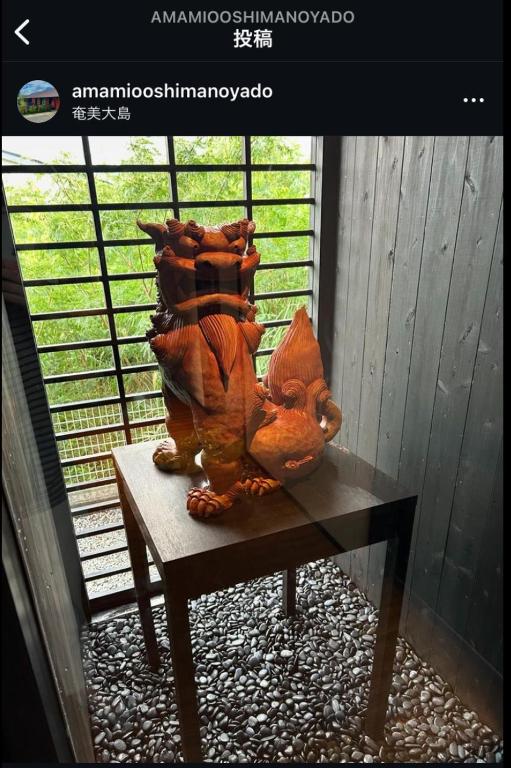 奄美大島の宿 — photo 1