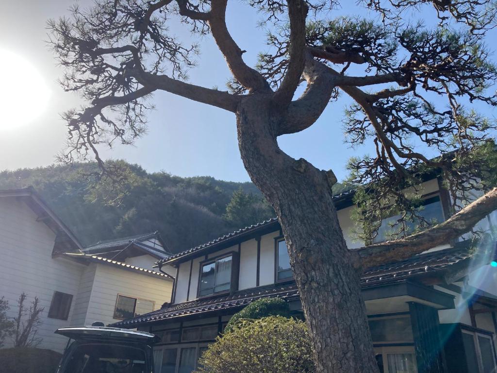 TAZAWA BOSSA inn — photo 1