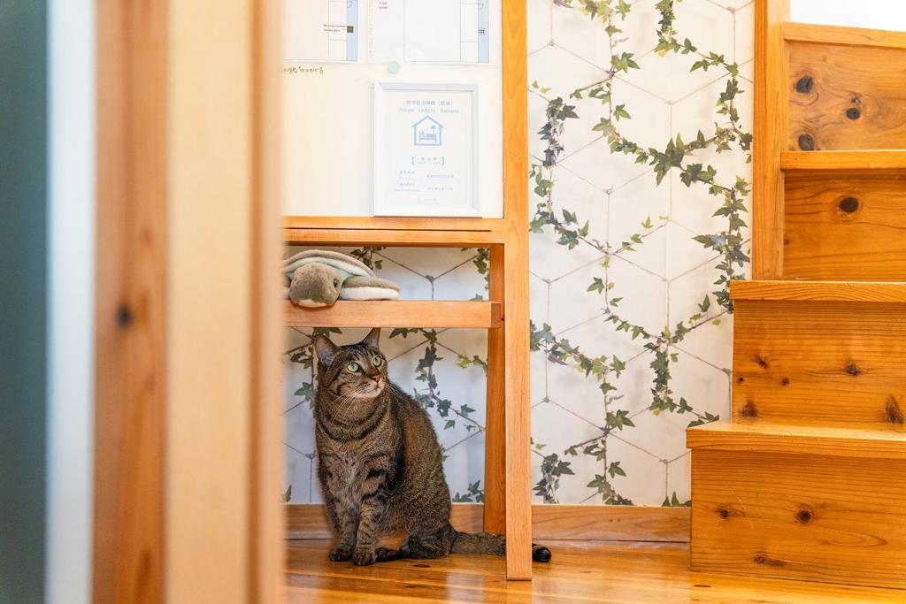 香川のゲストハウスFDroom — photo 1