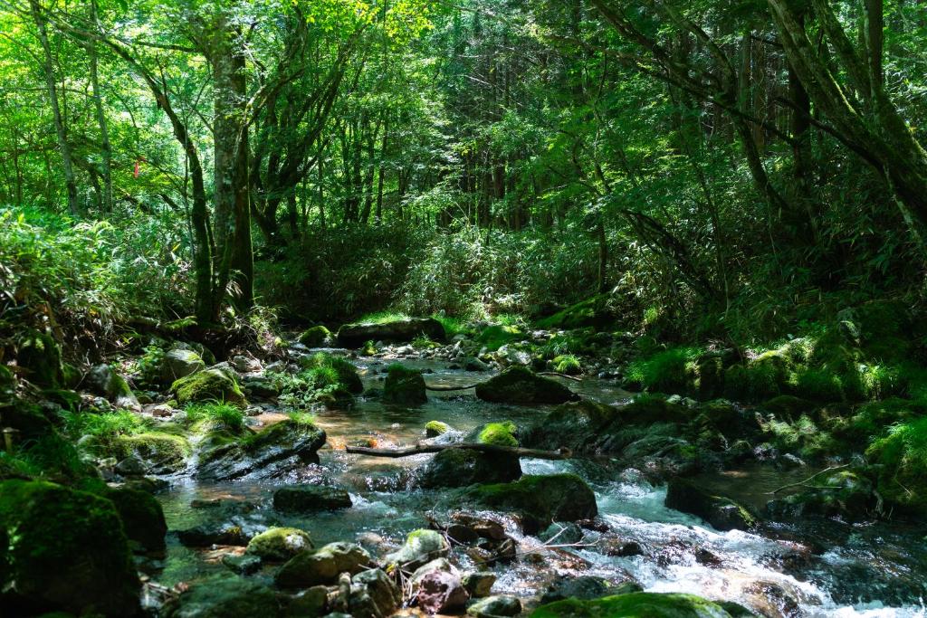深山山荘 DENCHI photo 3