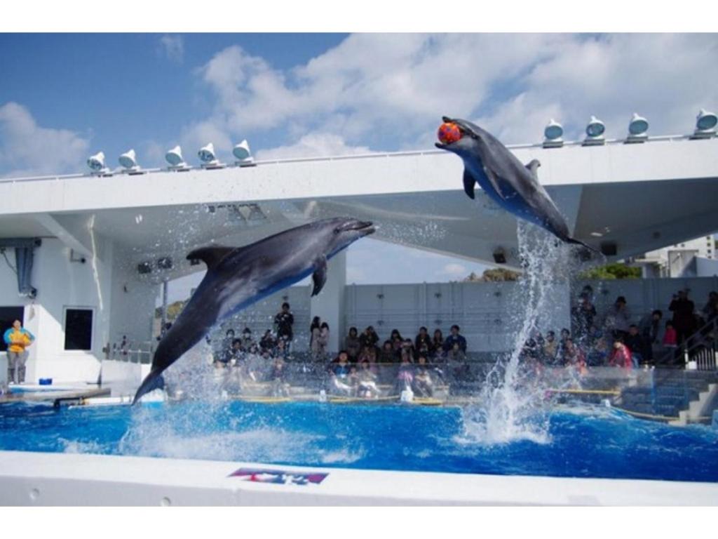 The Paradise Garden Sasebo - Vacation STAY 90006v photo 2