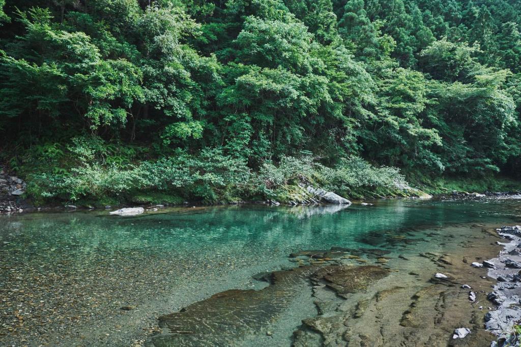 熊野四季亭 — photo 1
