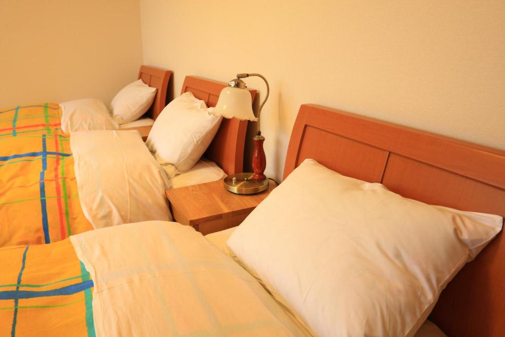 Yabukiso photo 2