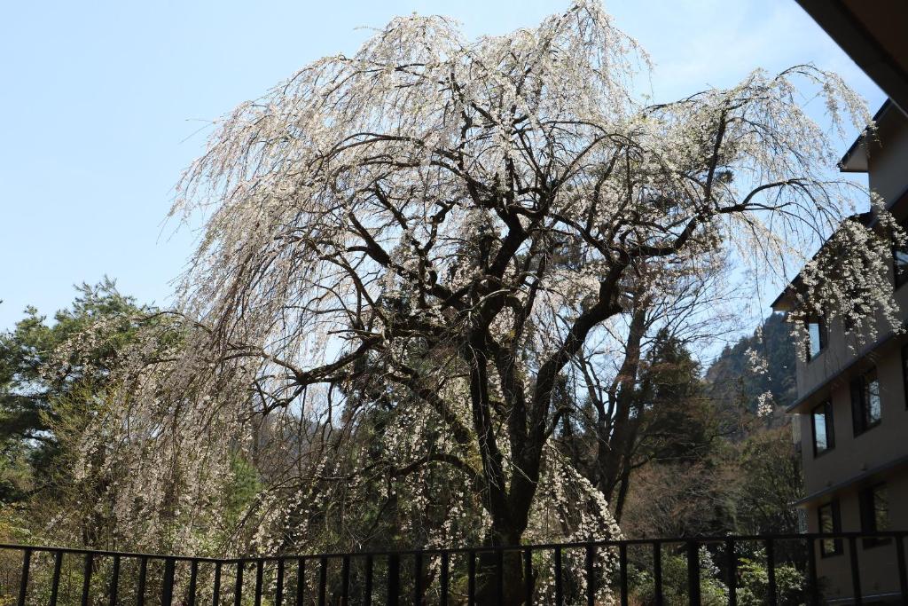 Hakone Kowakien Hotel photo 3