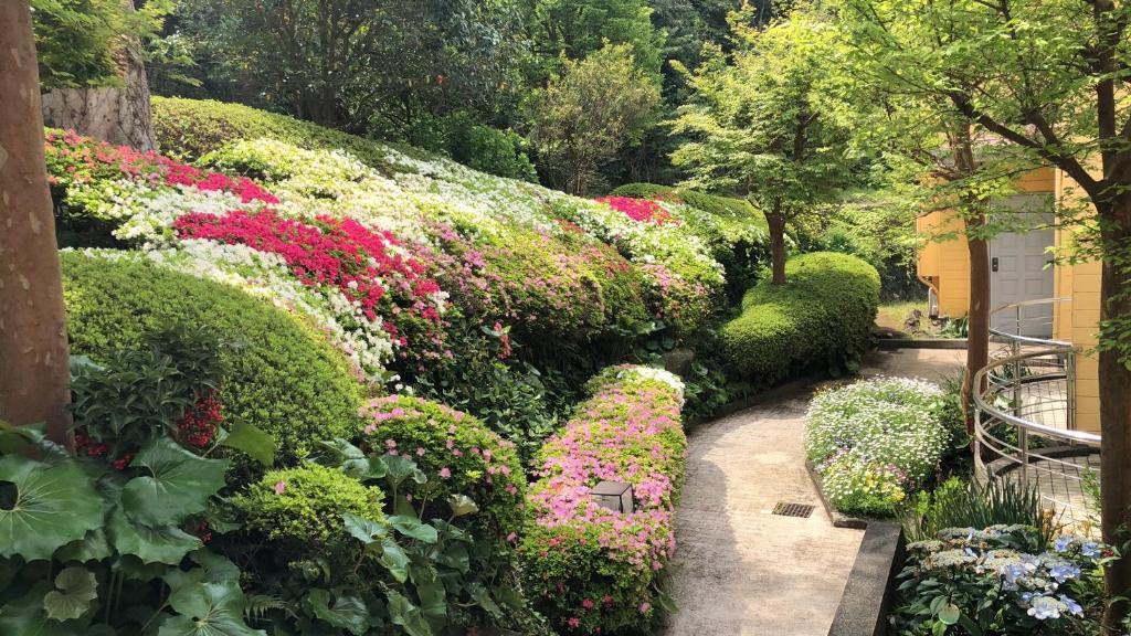 伊道荘園 — photo 1