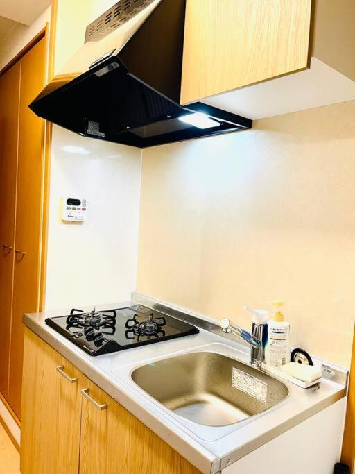 日本の下町新小岩デメテル202 photo 3
