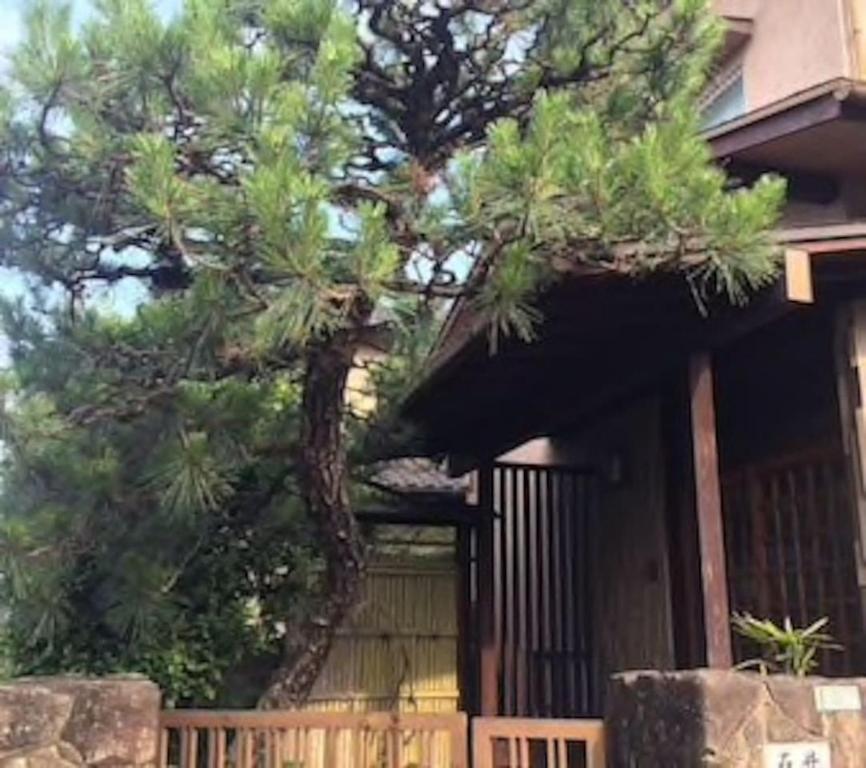 RYU photo 2