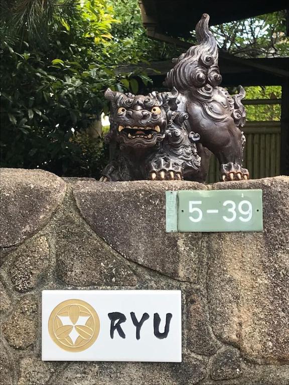 RYU photo 3
