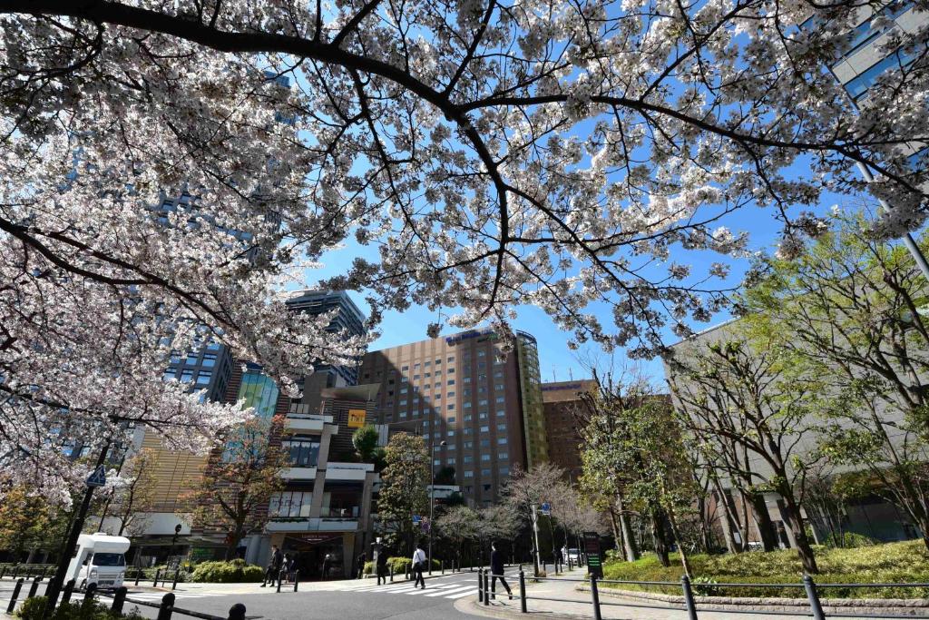 Hotel Metropolitan Edmont Tokyo photo 2