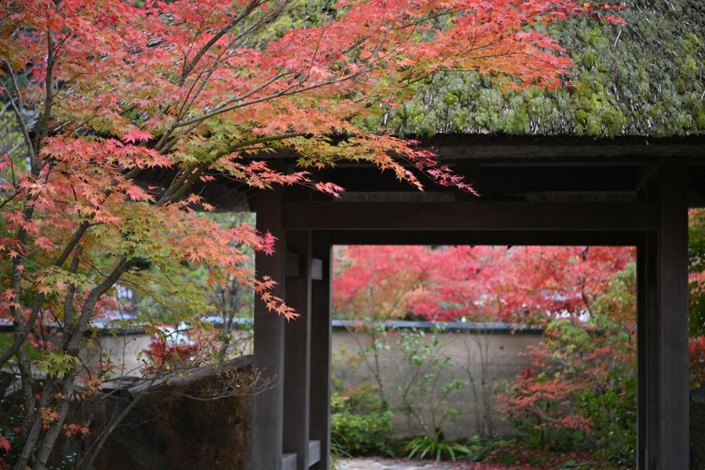 Ryokan Sumiya Kihoan photo 3