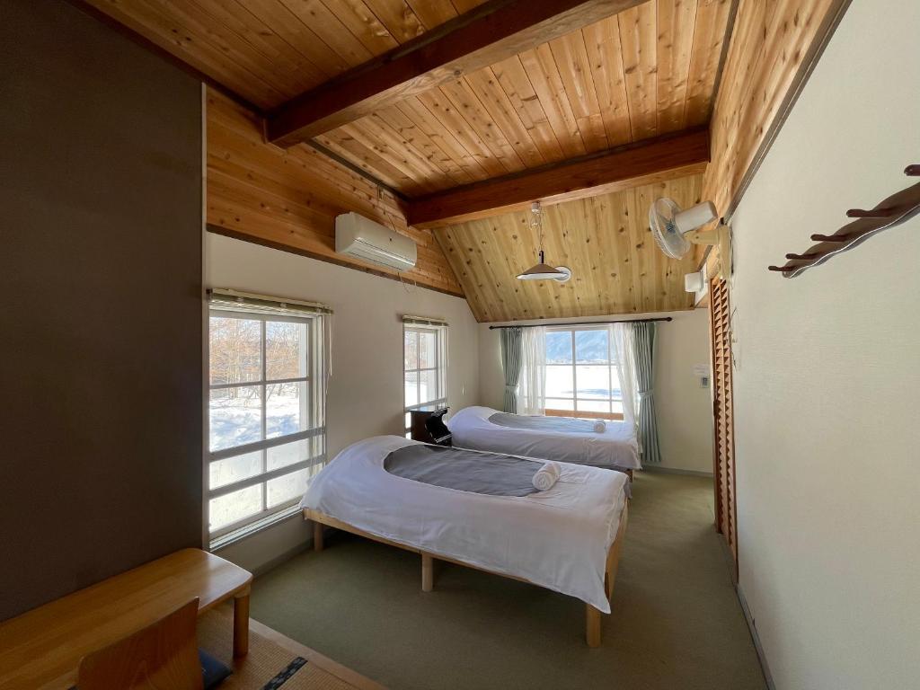 Hakuba Snow Fox photo 2