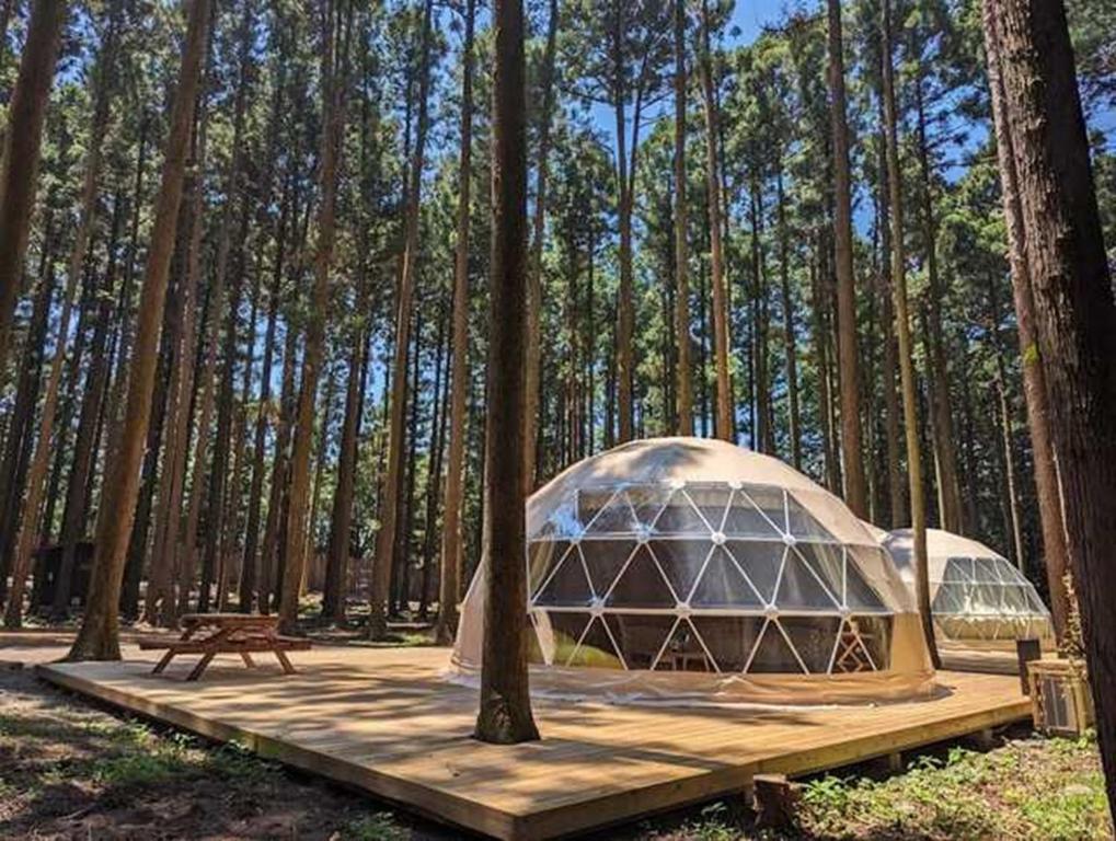 Akagi Tokiwa Forest Campsite - Vacation STAY 84739v — photo 1