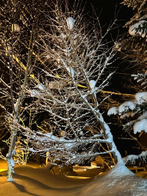 Tobari 帷 Niseko Hanazono photo 3